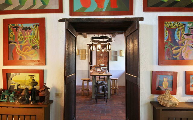Macennere