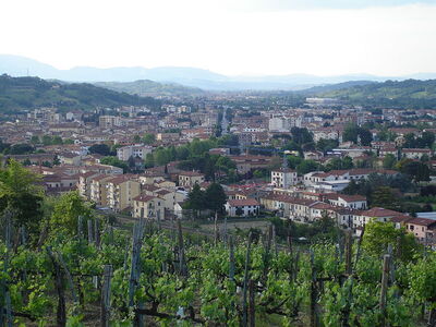 town of montevarchi
