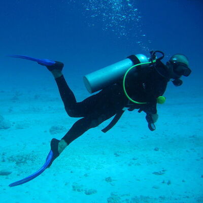Scuba diving along the Tuscan coast