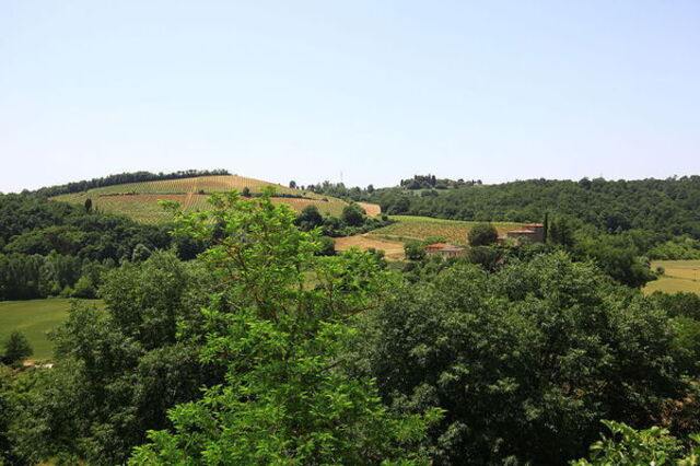 Poggibonsi Landscape
