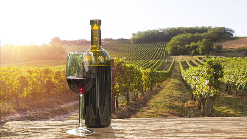 A vineyard in Chianti