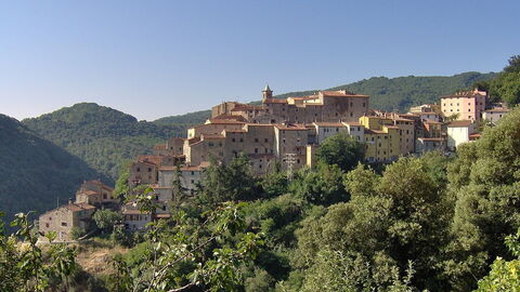 Sassetta