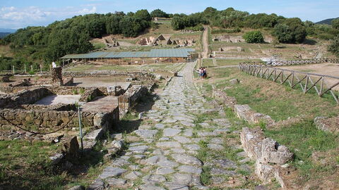 View of archaeological site of Roselle