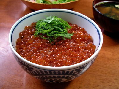 Juicy mullet roe