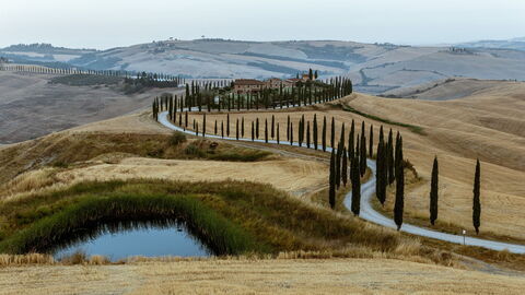 Cypress-lined roads in Tuscany