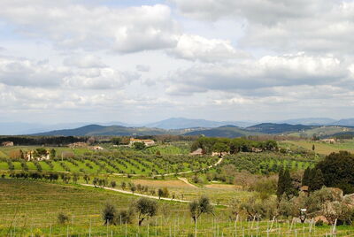 Tuscan landscape