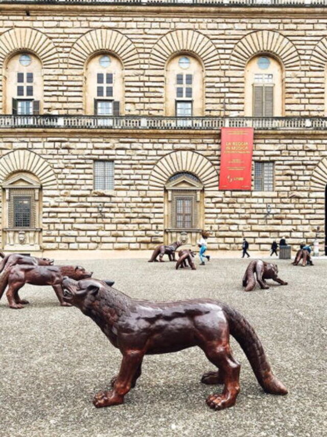 100 Wolves at the Palazzo Pitti
