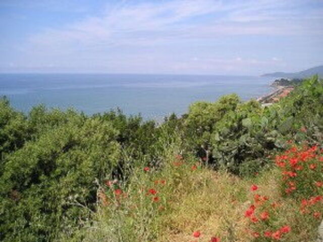 Sea View from Castiglione