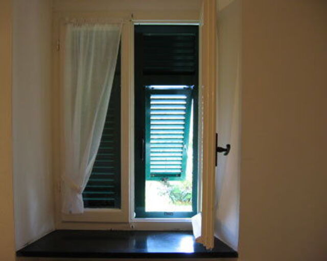 Window