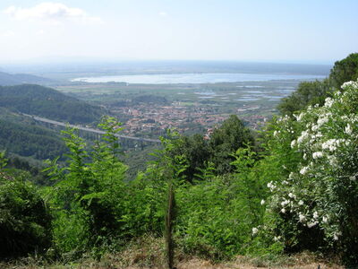 Massaciuccoli Lake