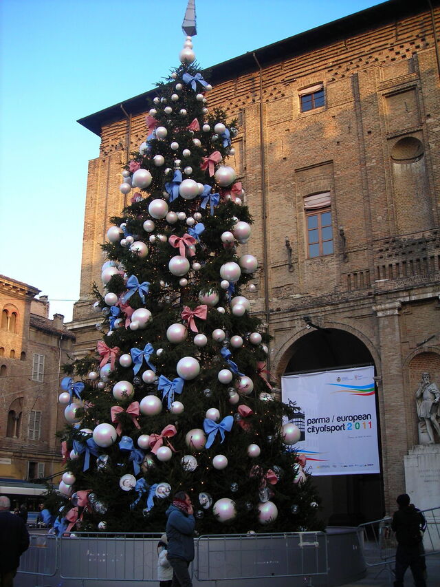 Christmas tree in the main square of an Italian city