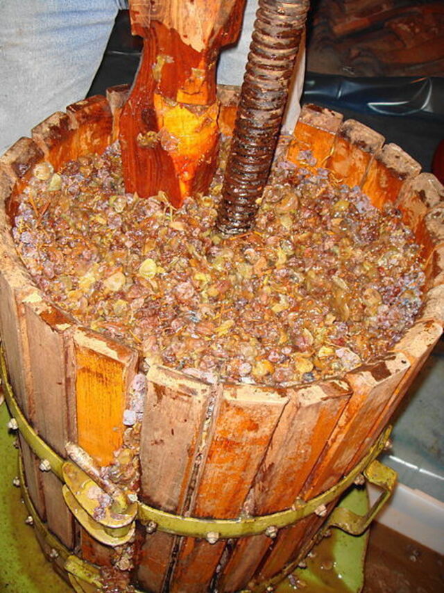 Dried grapes being crushed
