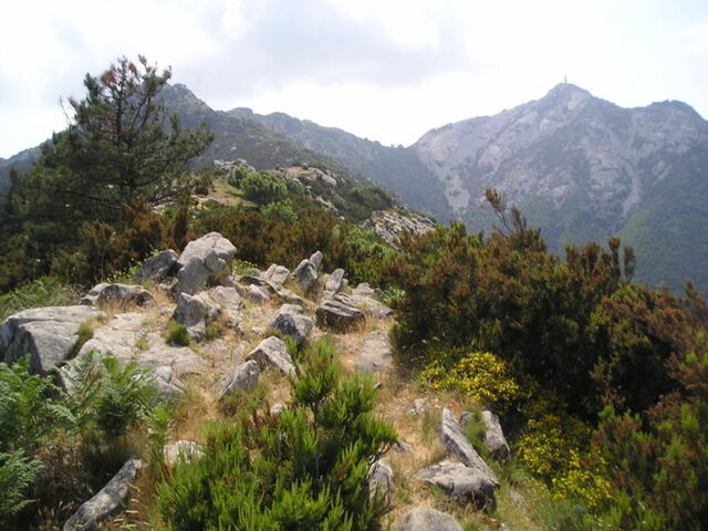 view of mount capanne