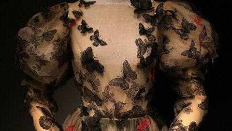 Schiaparelli dress, Costume Gallery