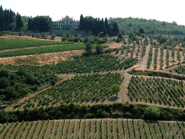 Vineyards in Chianti