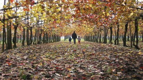 Autumn in Tuscany