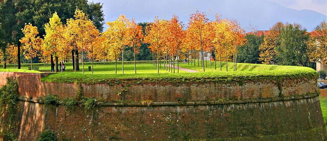 walls of Lucca in Autumn