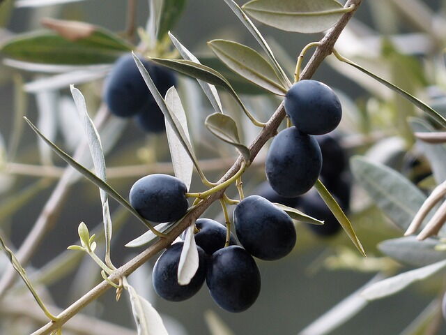 black olives