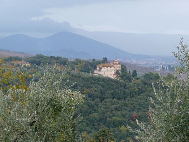 Villa Celle