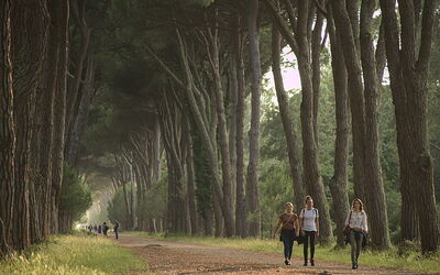 Natural Park of Migliarino San Rossore Massaciuccoli