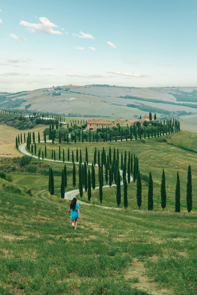 Cypress-lined road in Tuscany