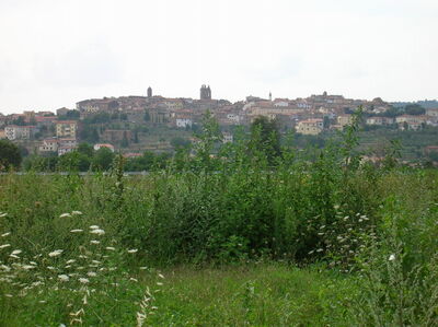 View of Monte San Savino