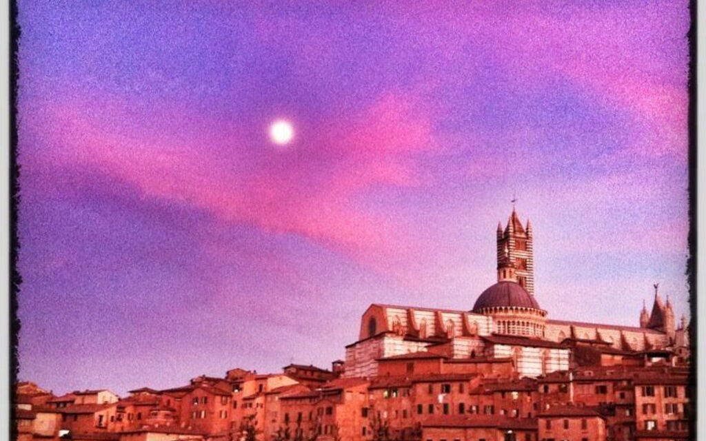 Siena Hipsta