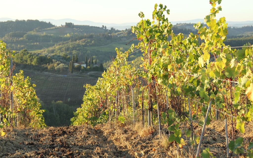 Uitzicht vanaf een wijngaard in Toscane