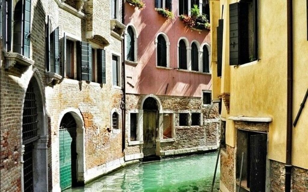 Vibrant Venezia