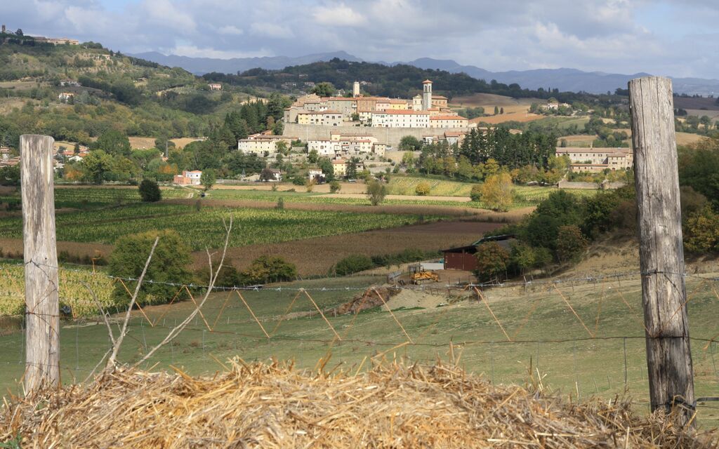 Monterchi - Classic Tuscany