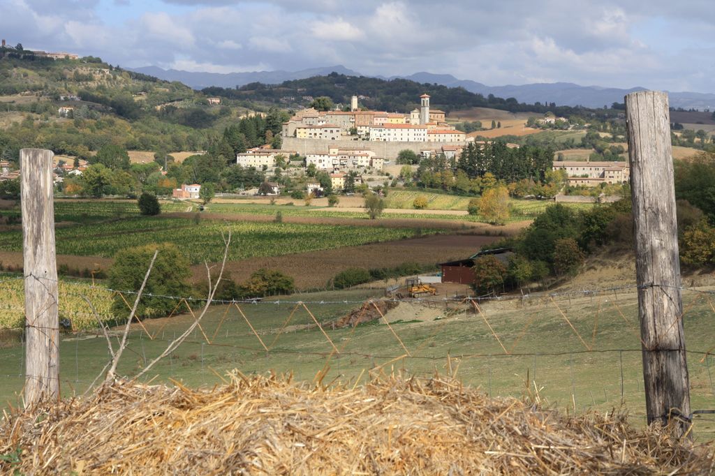 Monterchi - Classic Tuscany