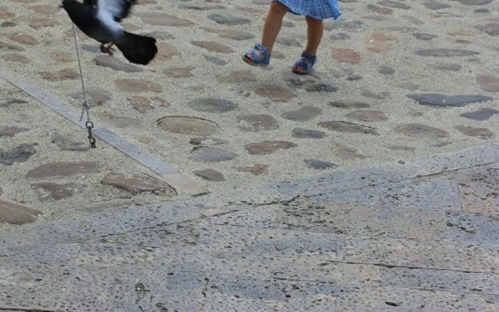 The carefree joys of childhood