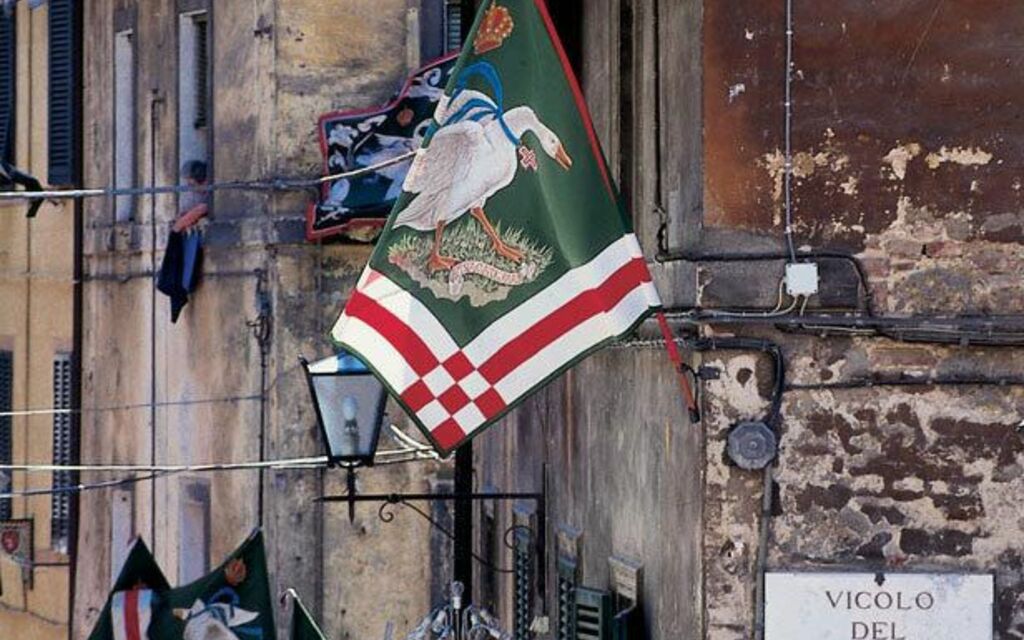 Contradas flags in Sienna