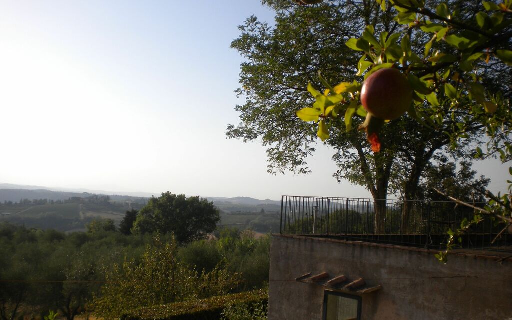 Pomegranate with landscape