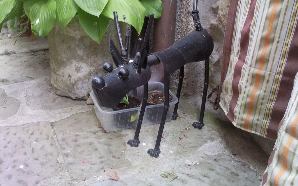 Little Mechanical Dog