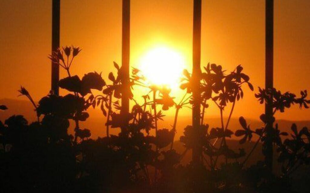 Stunning Sunset