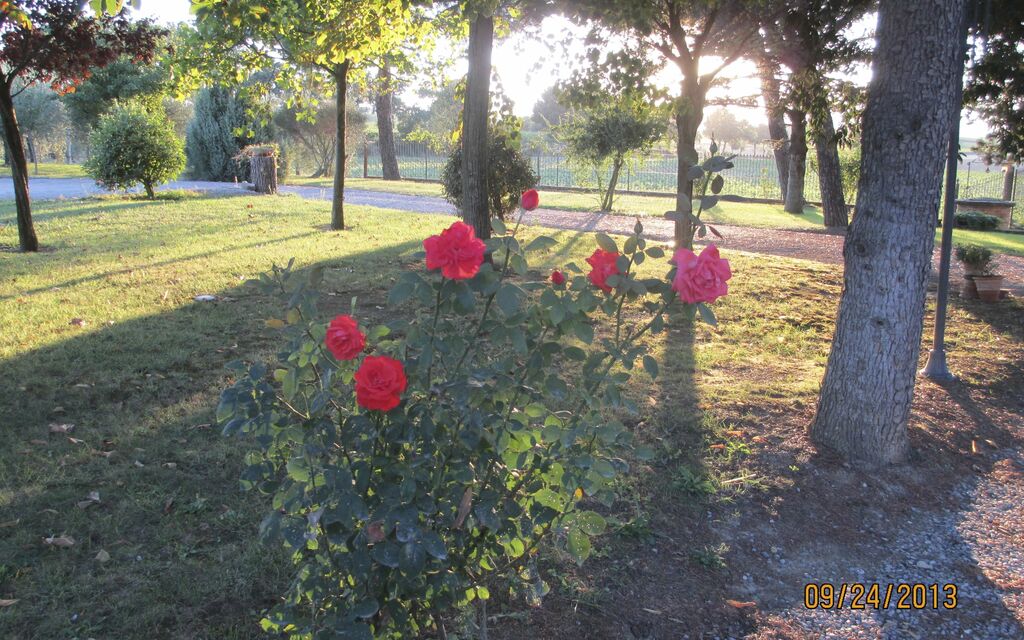 The Slow Life at Casa al Bosco