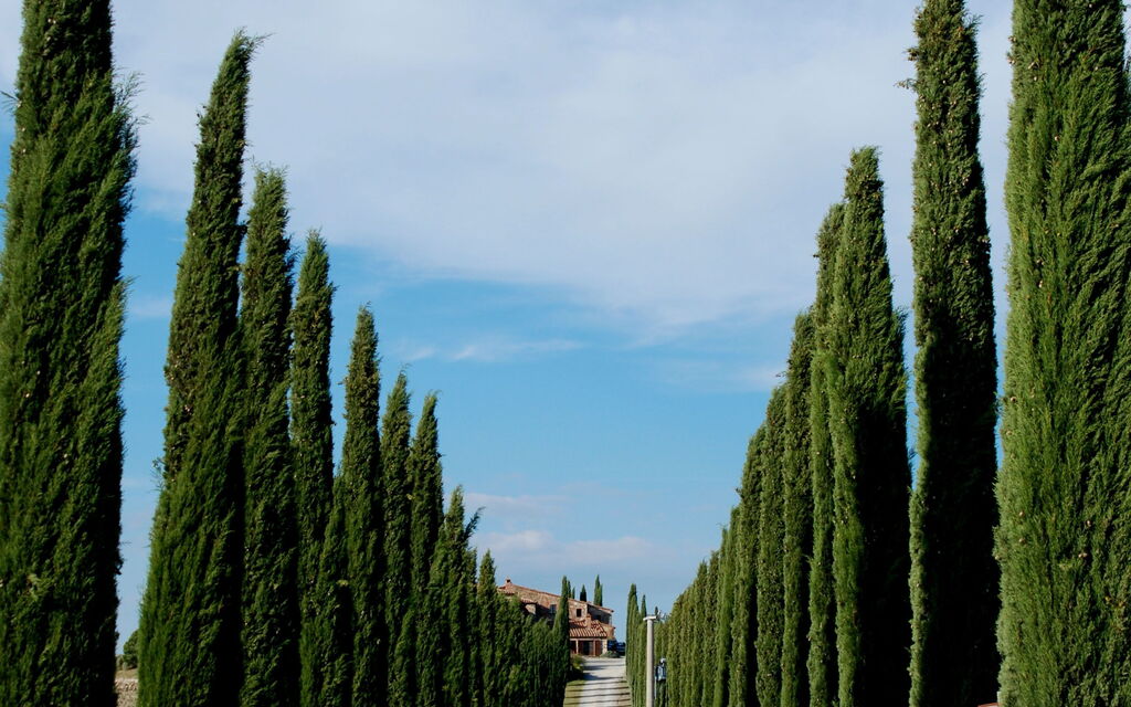 Benvenuti