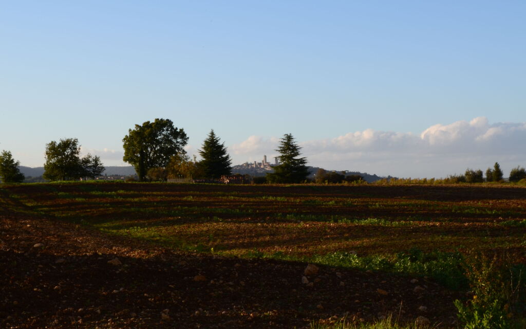 C'è San Gimignano là in fondo