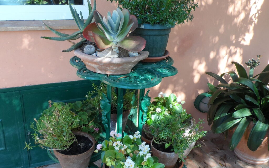 Toscane, een reis voor al je zintuigen.