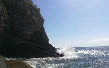 Photo submitted by guest of Giallo