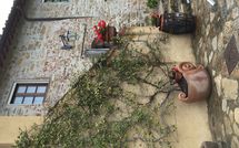 Photo submitted by guest of Villa Sonia