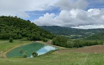 Photo submitted by guest of Fattoria Il Monte