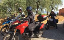 Photo submitted by guest of Uva