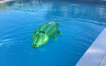 Photo submitted by guest of Uva