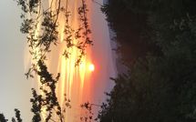 Photo submitted by guest of Casa Ivan