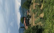 Photo submitted by guest of La Castagnara