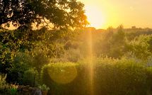 Photo submitted by guest of Country House Il Galleto