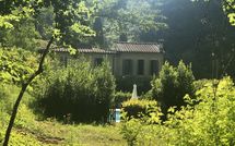 Photo submitted by guest of Molino Santa Lucia