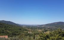 Photo submitted by guest of La Montanina